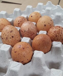 Speckled Egger™